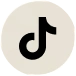 Tiktok Icon